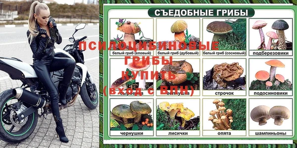 эйфоретик Бугульма